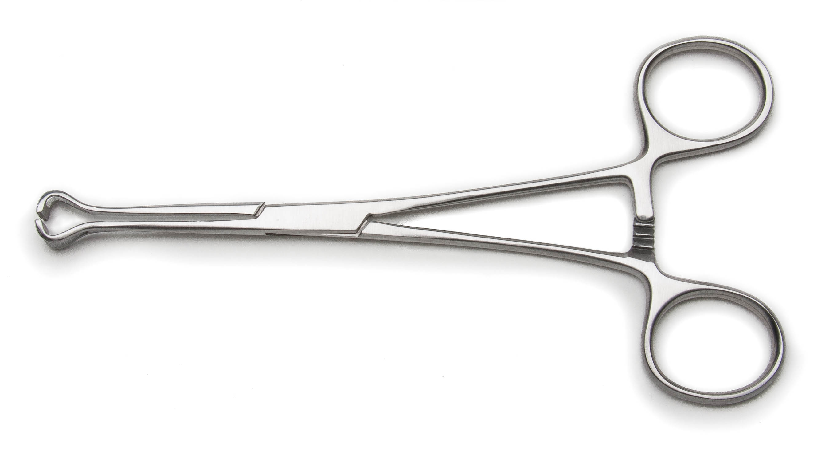 Babcock Tissue Forceps, Standard Pattern, 12" (30.5 Cm)